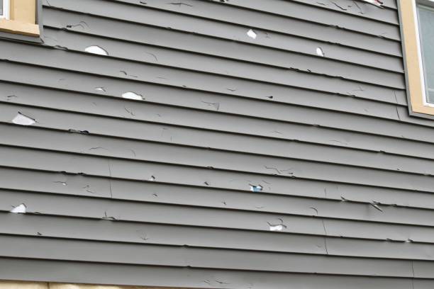 Best Historical Building Siding Restoration  in Oak Island, NC